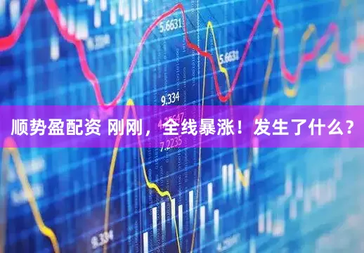 顺势盈配资 刚刚，全线暴涨！发生了什么？